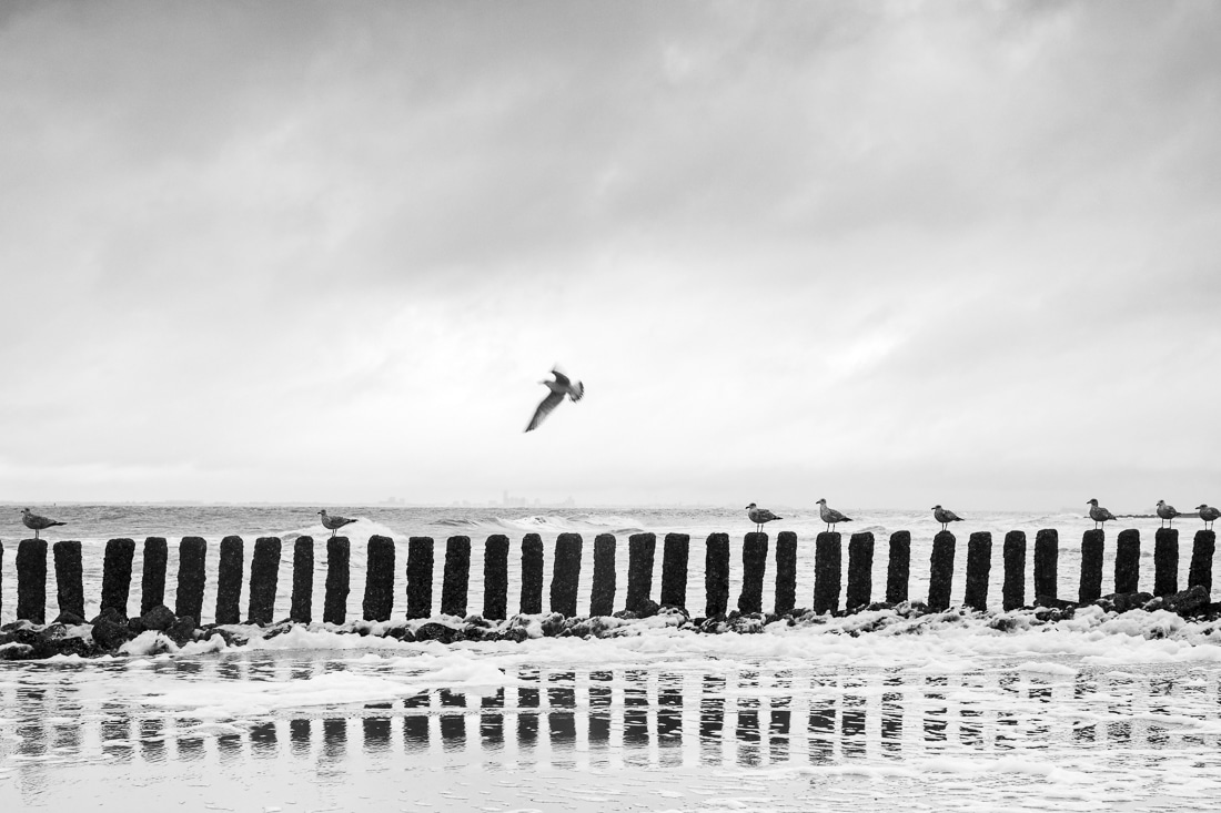 Ocean Flow - Fotoausstellung von Stefan Mayr - Meeresrauschen